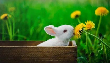 开云体育：点亮你的运动新纪元